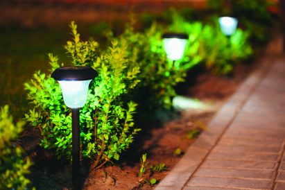 article image - light